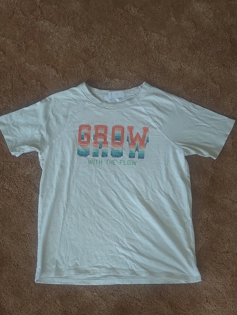 aerie Oatmeal/Cream Graphic Tee Grow With The Flow Print